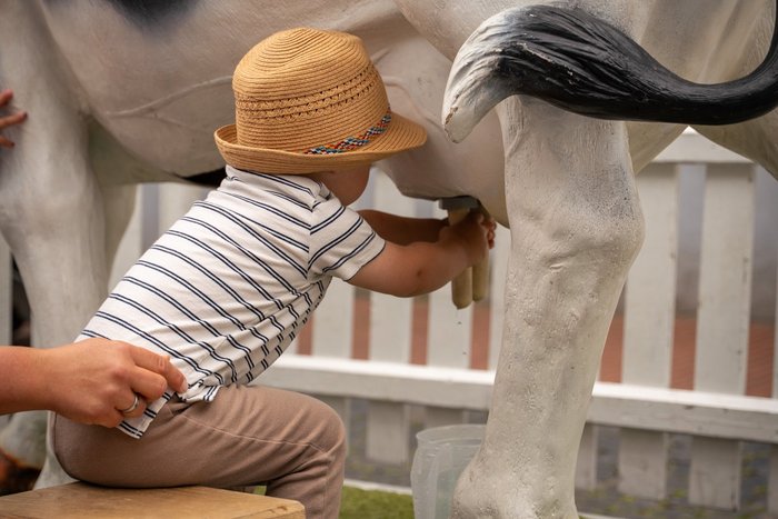 Kuhmelken auf dem Dülkener Kindertag